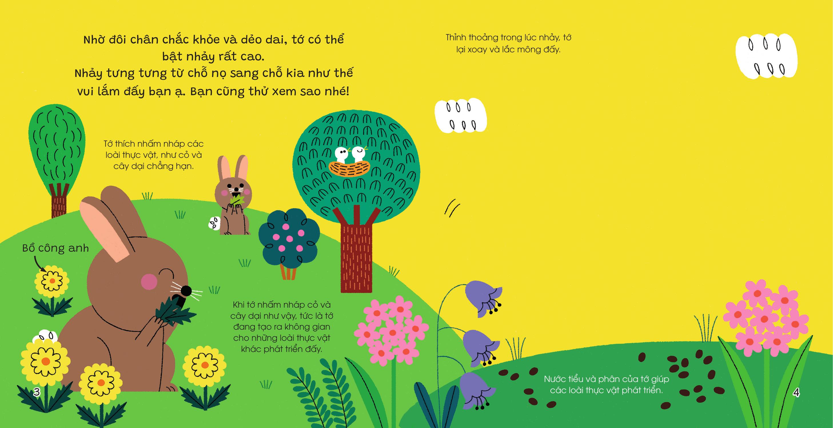 The Gioi Nho Dong Day - Tho - Bia Cung