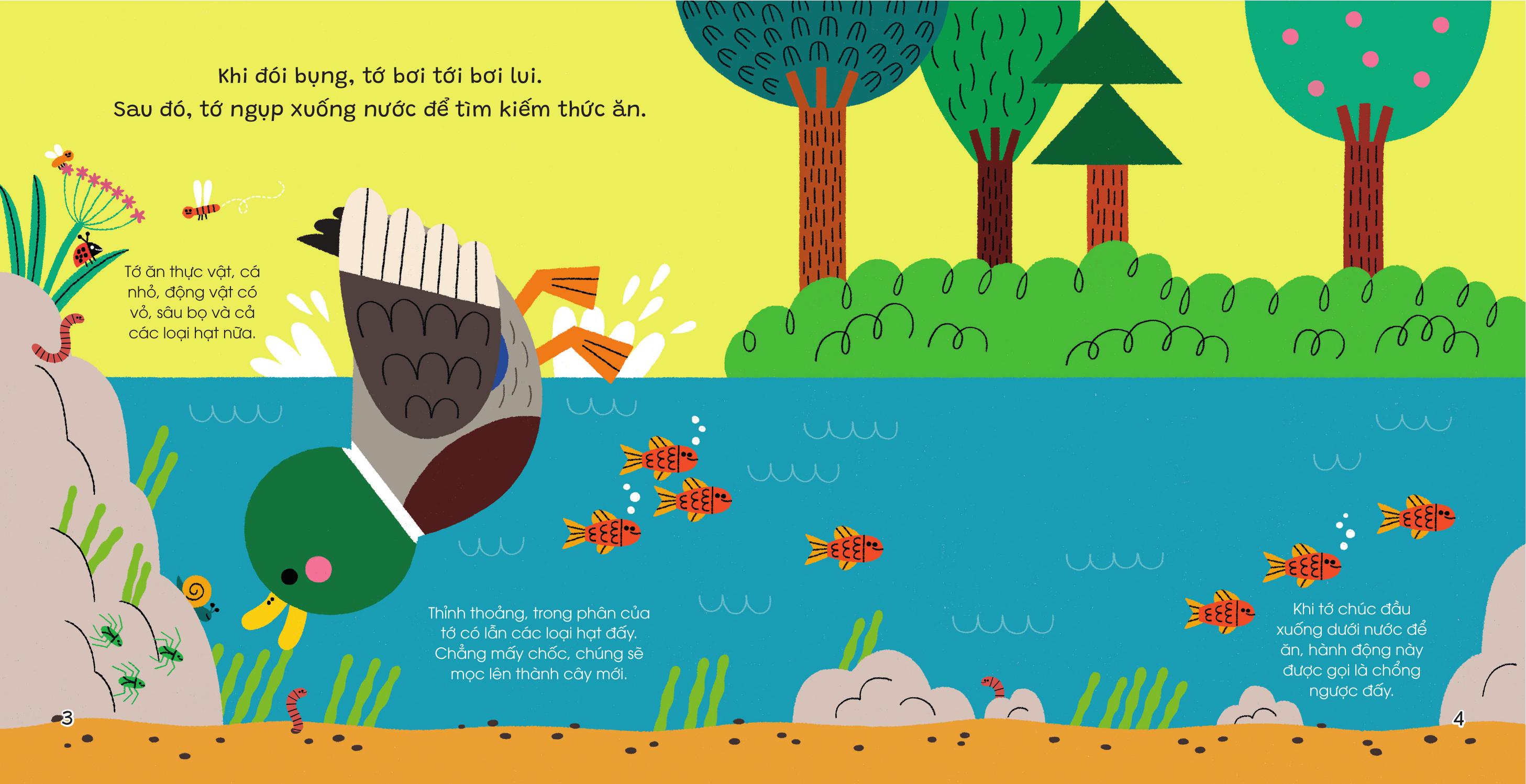 The Gioi Nho Dong Day - Vit - Bia Cung