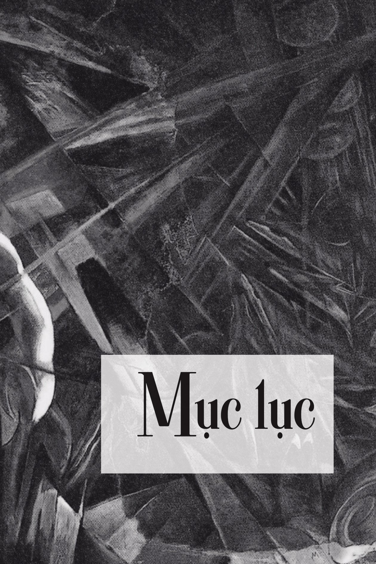 thế giới như là ý chí và ý niệm - bìa cứng