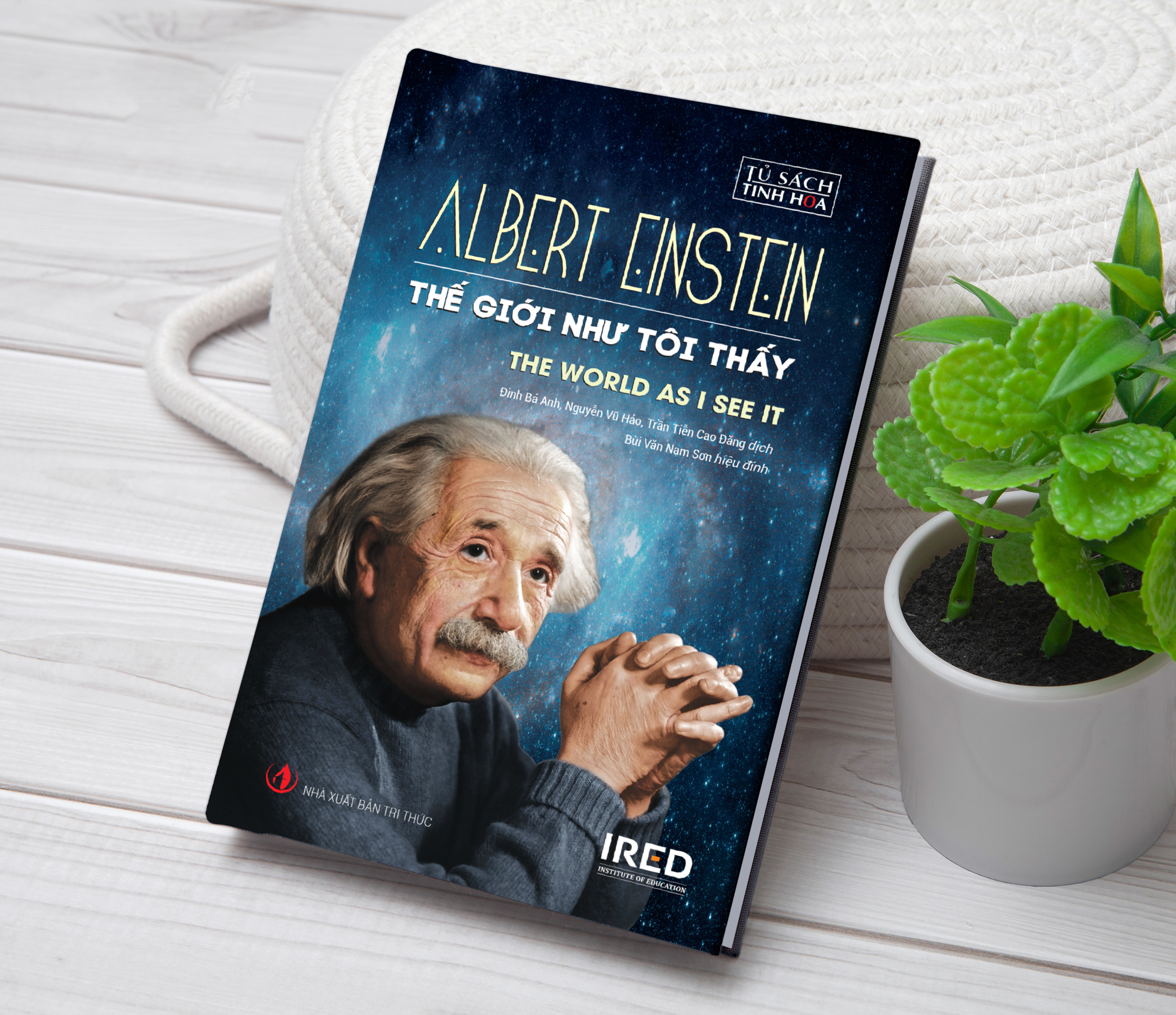 thế giới như tôi thấy - the world as i see it - bìa cứng