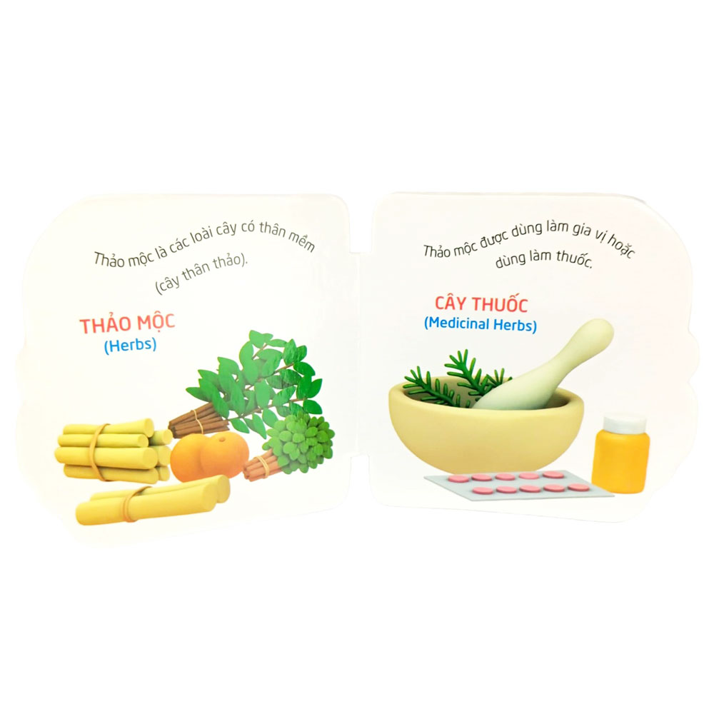 thế giới trong mắt em - thực vật