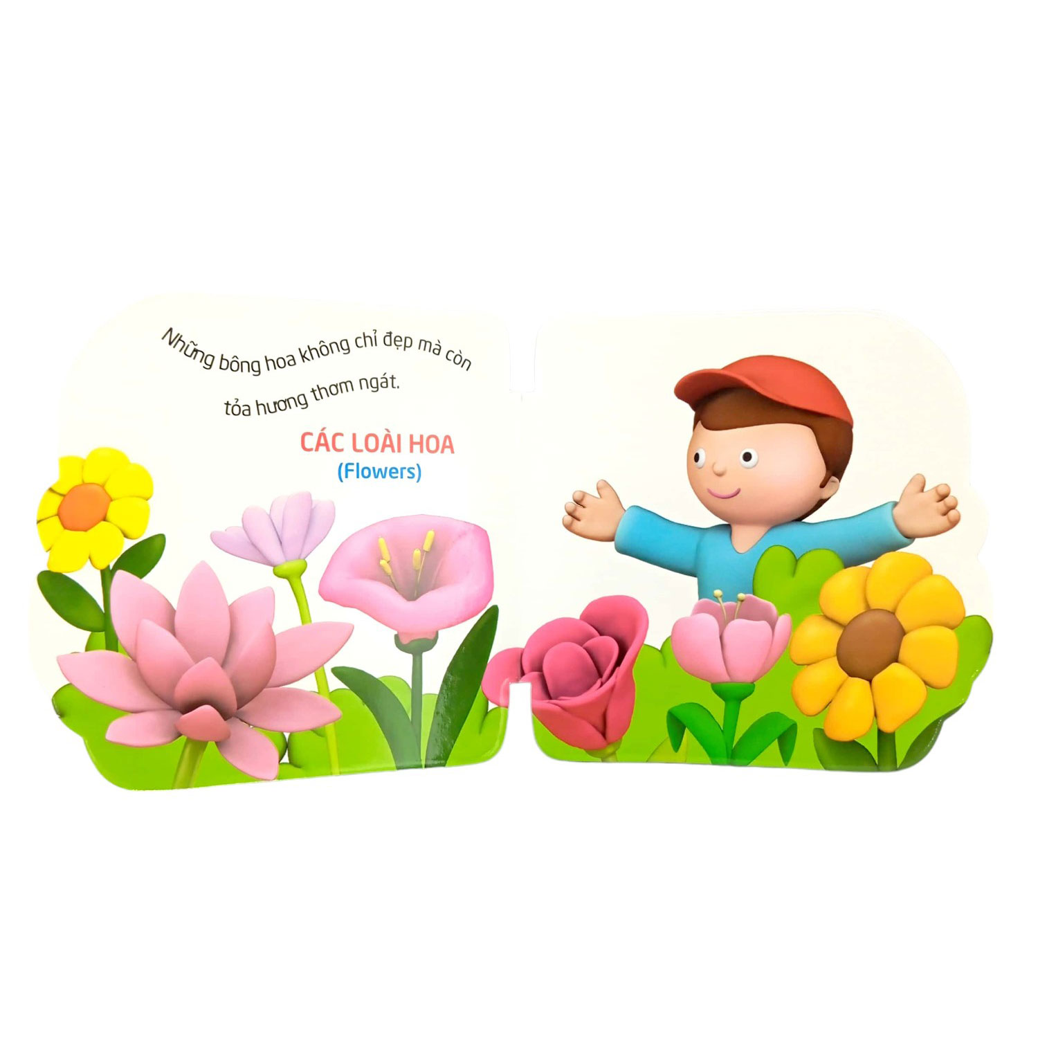 thế giới trong mắt em - thực vật