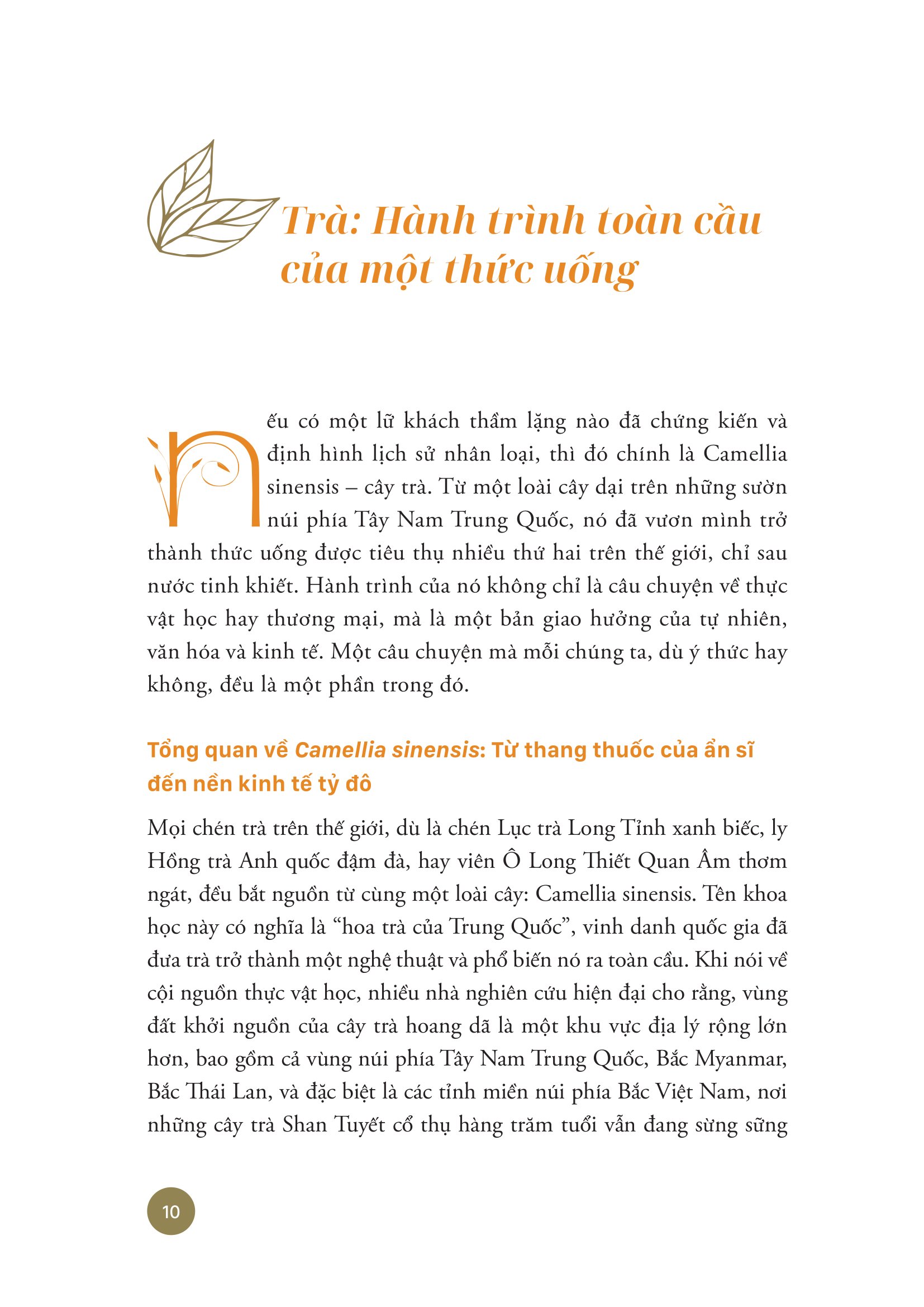 Thế Giới Trong Một Chén Trà - Khám Phá Trà, Trà Đạo Và Văn Hóa Trà Trên Thế Giới