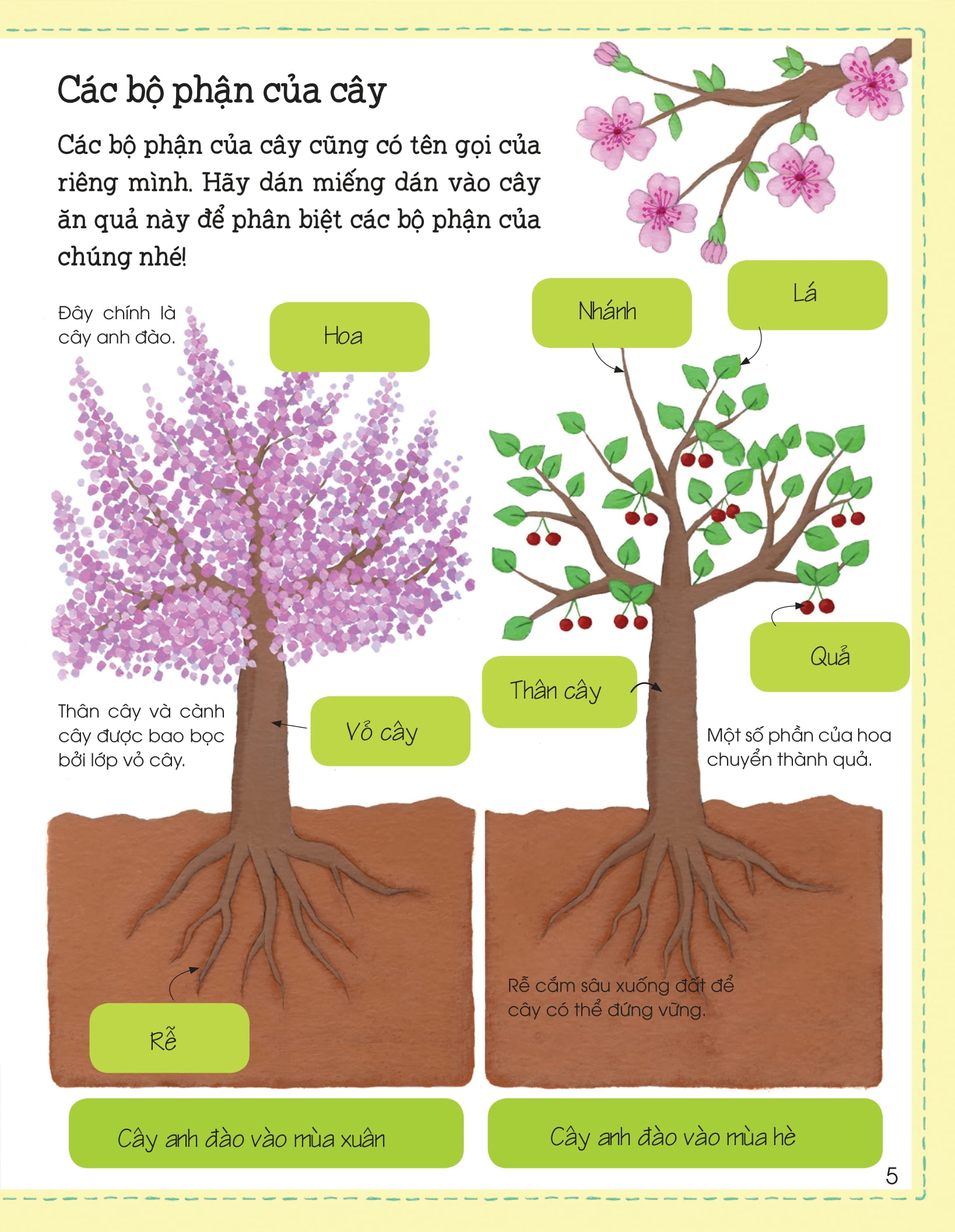 thế giới trong tay em - sự sinh trưởng của vạn vật