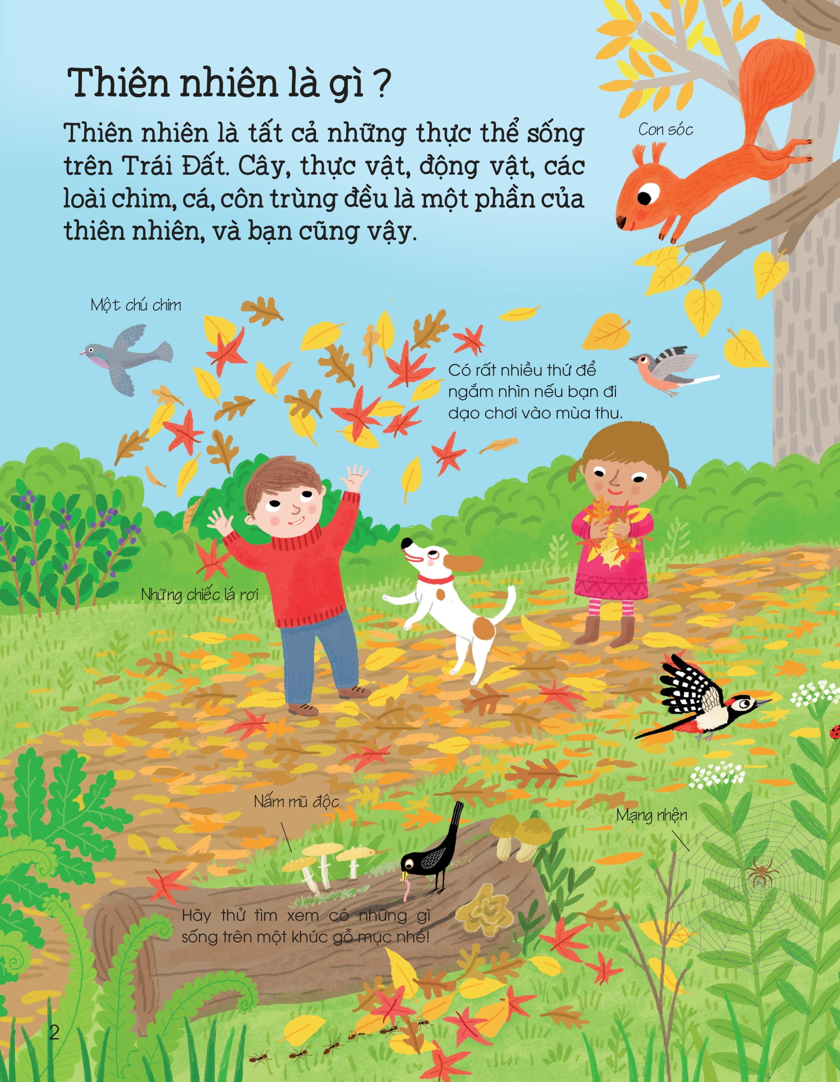 thế giới trong tay em - thiên nhiên diệu kỳ