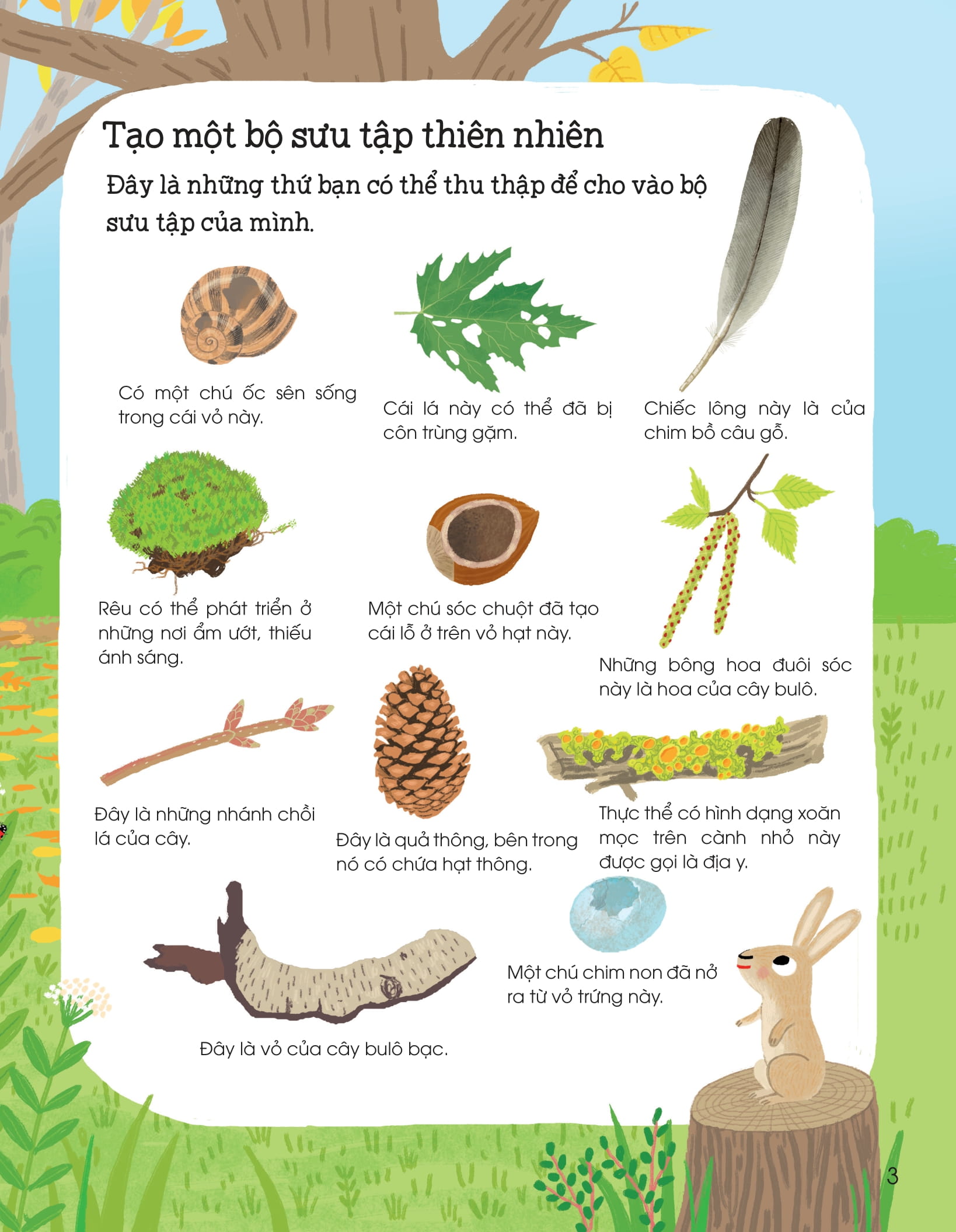 thế giới trong tay em - thiên nhiên diệu kỳ