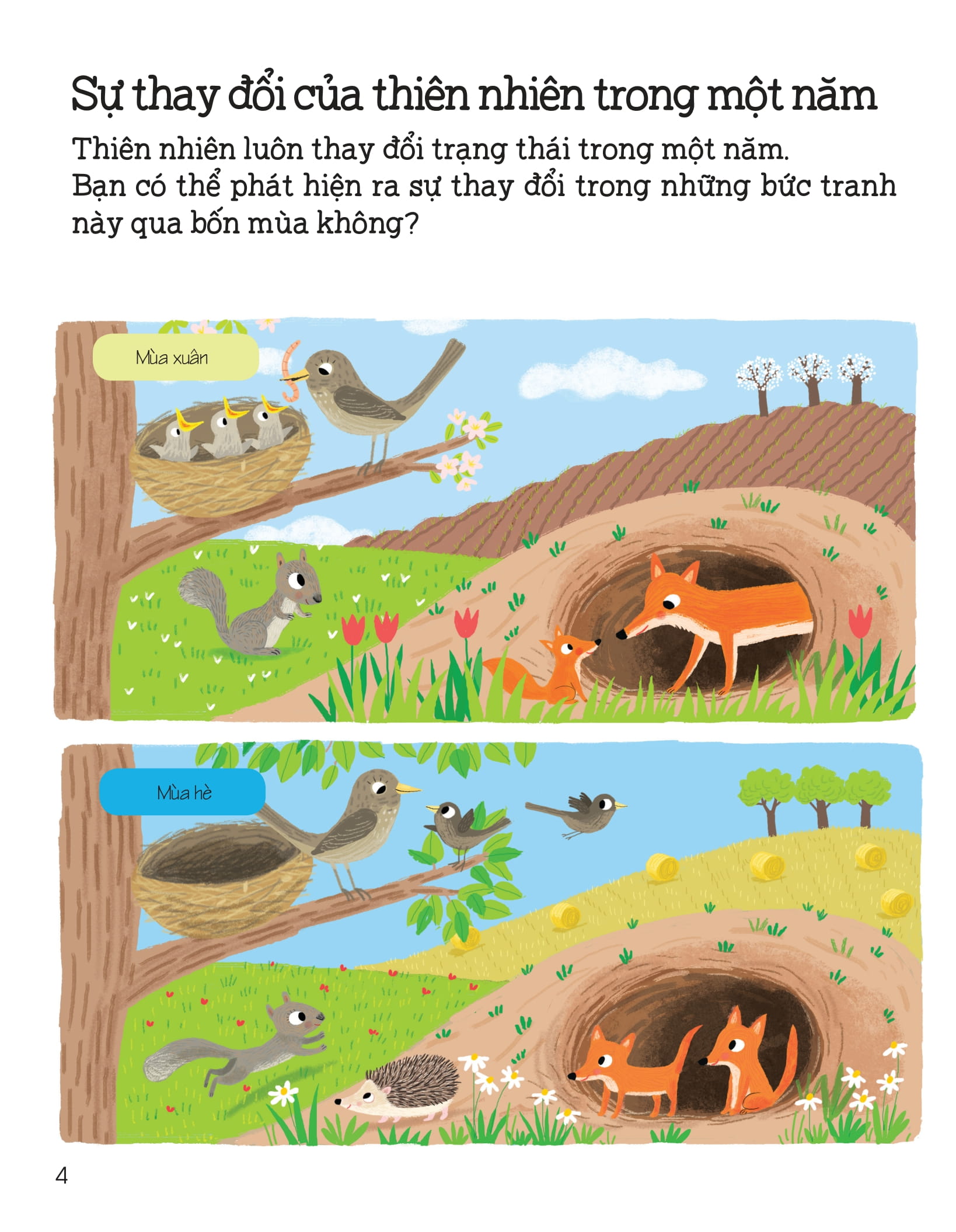 thế giới trong tay em - thiên nhiên diệu kỳ