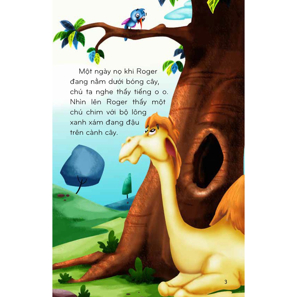 thế giới tuyệt vời của động vật - lạc đà và chim ruồi