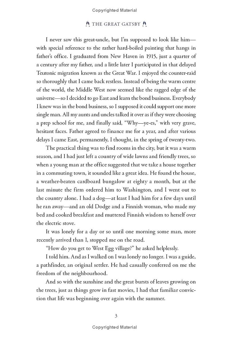 the great gatsby (pretty books - painted editions)