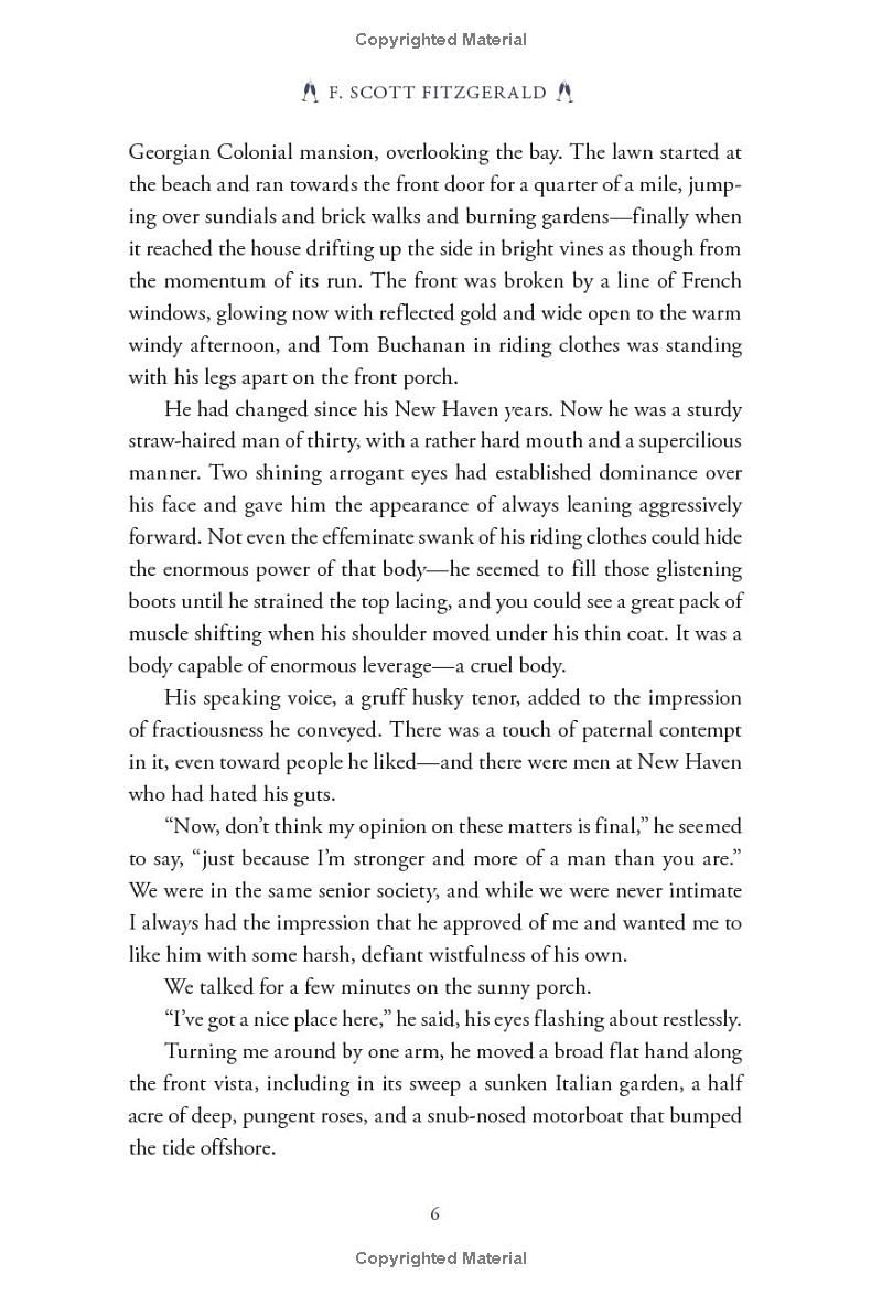 the great gatsby (pretty books - painted editions)