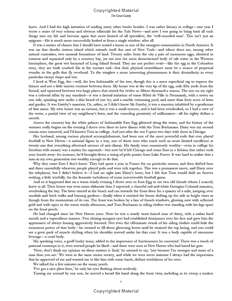 the great gatsby - vintage classic library