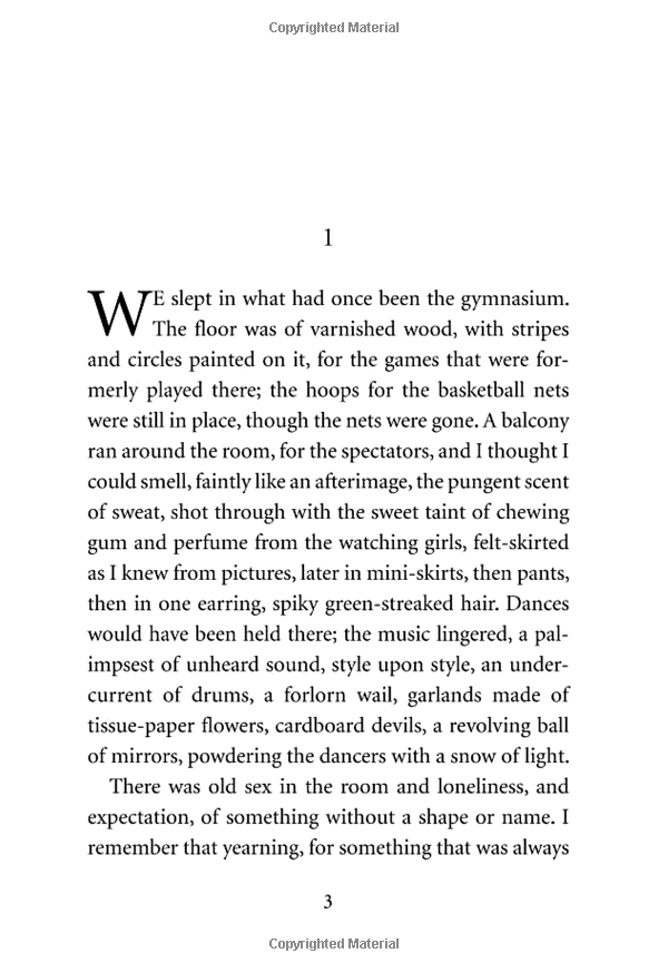 the handmaid's tale (vintage classics)