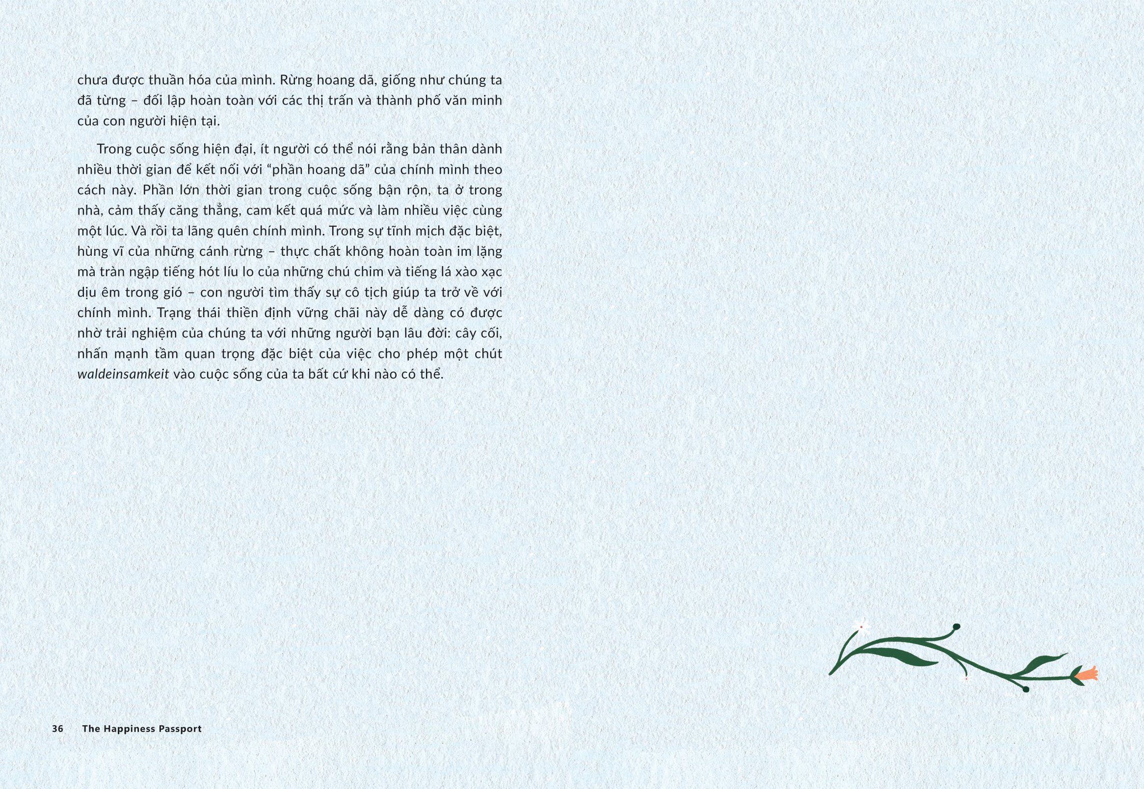 the happiness passport - hành trình tìm kiếm niềm vui qua 50 từ kỳ diệu