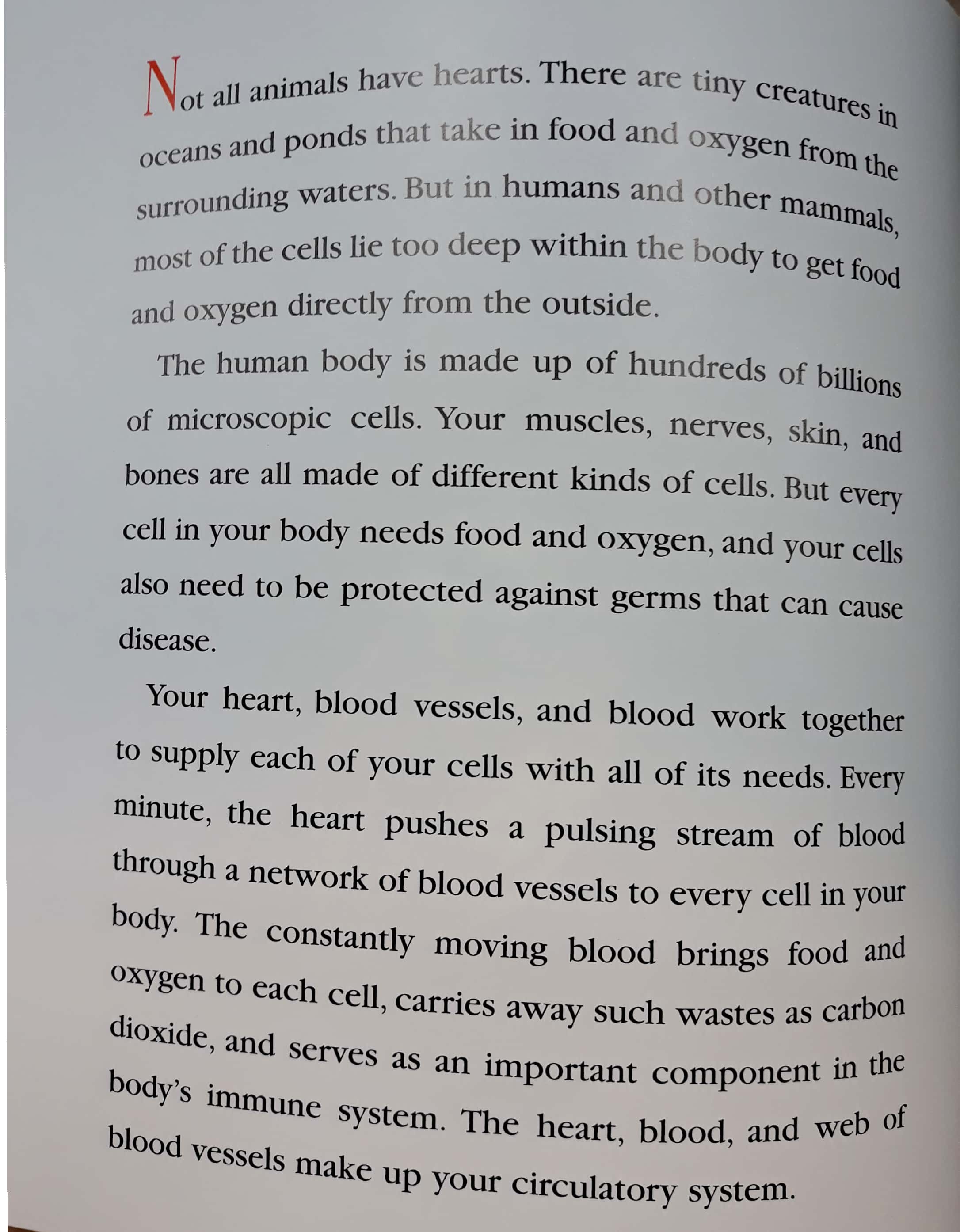 the heart: our circulatory system