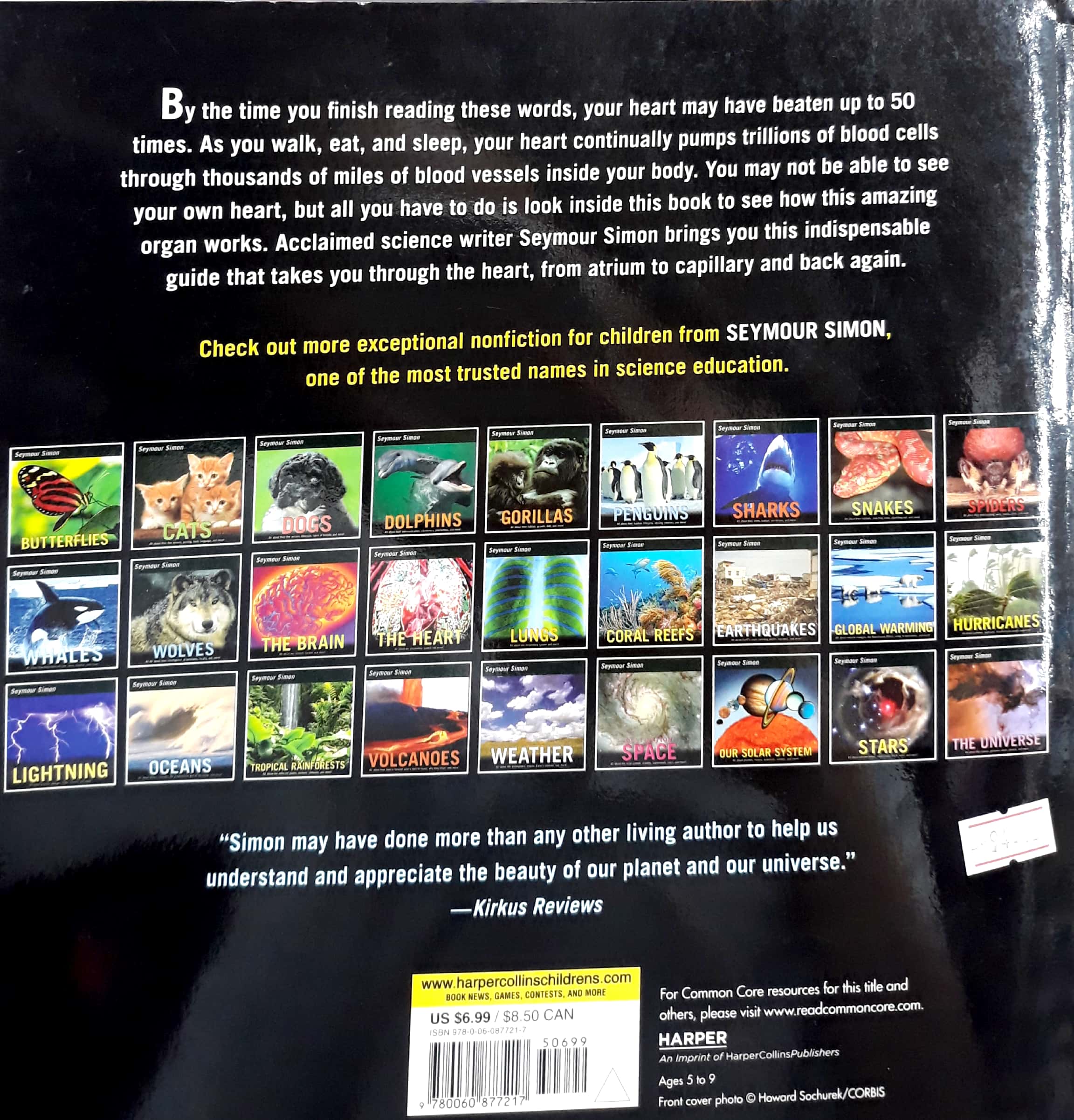 the heart: our circulatory system