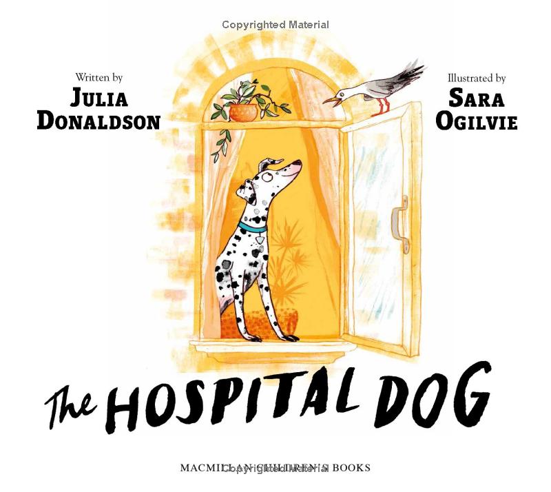 the hospital dog