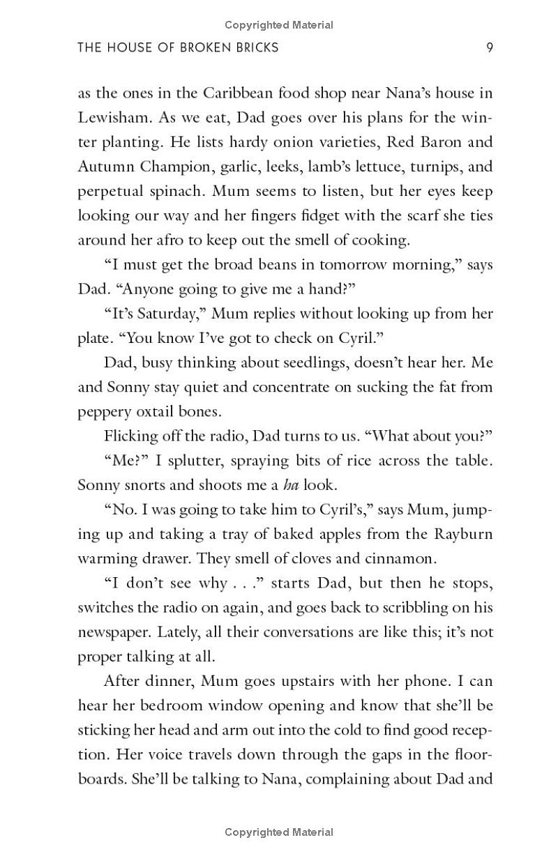 the house of broken bricks