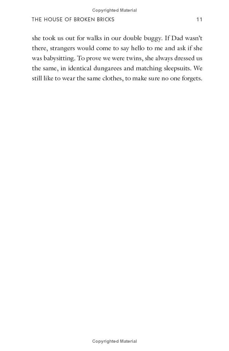 the house of broken bricks