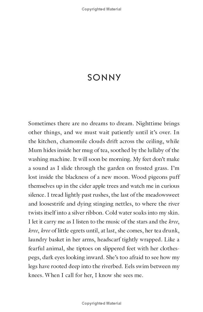 the house of broken bricks