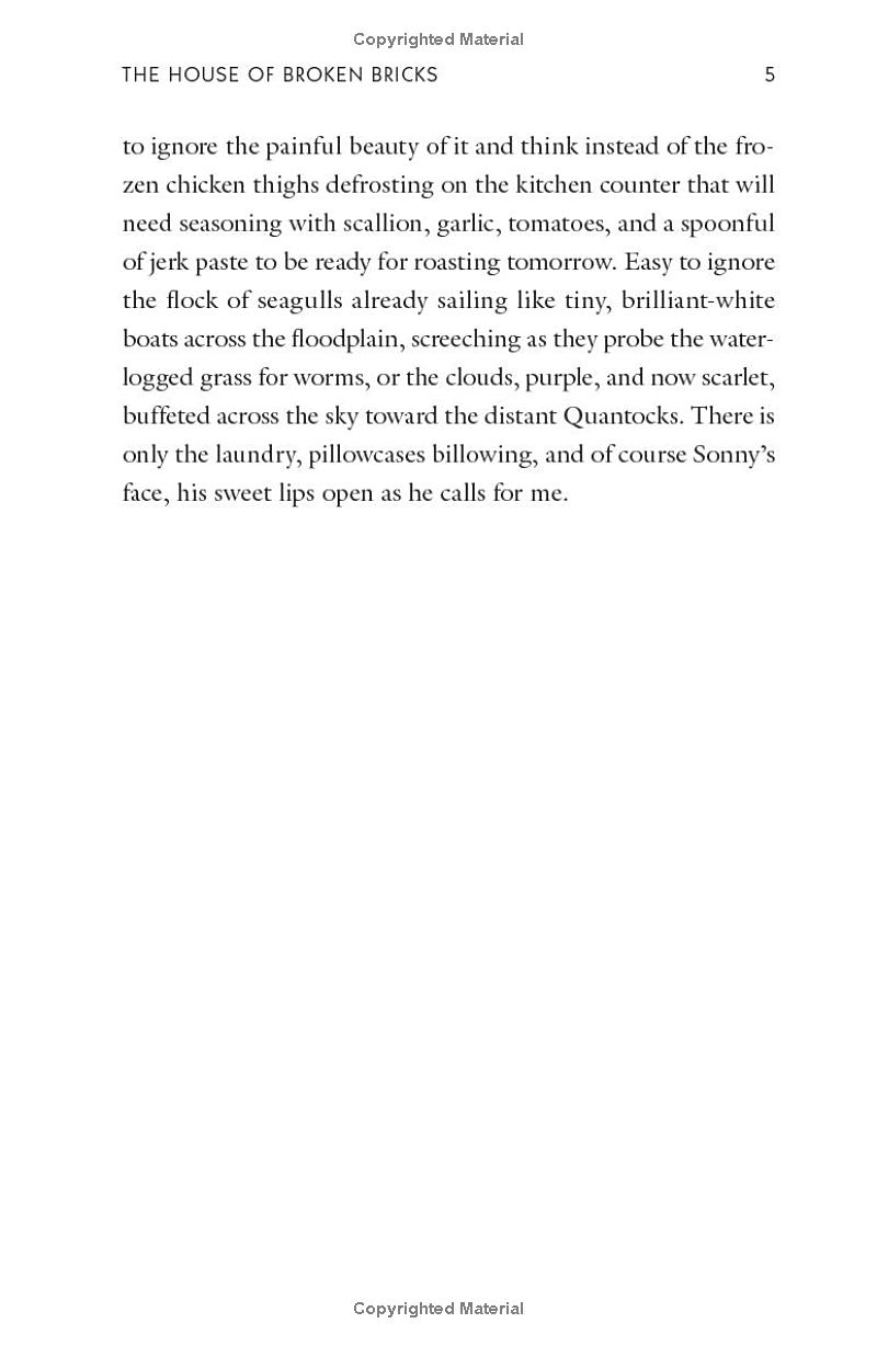 the house of broken bricks