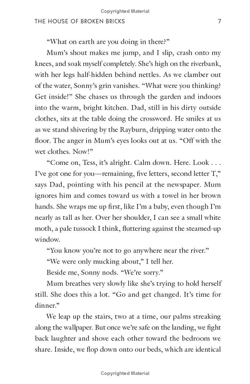 the house of broken bricks