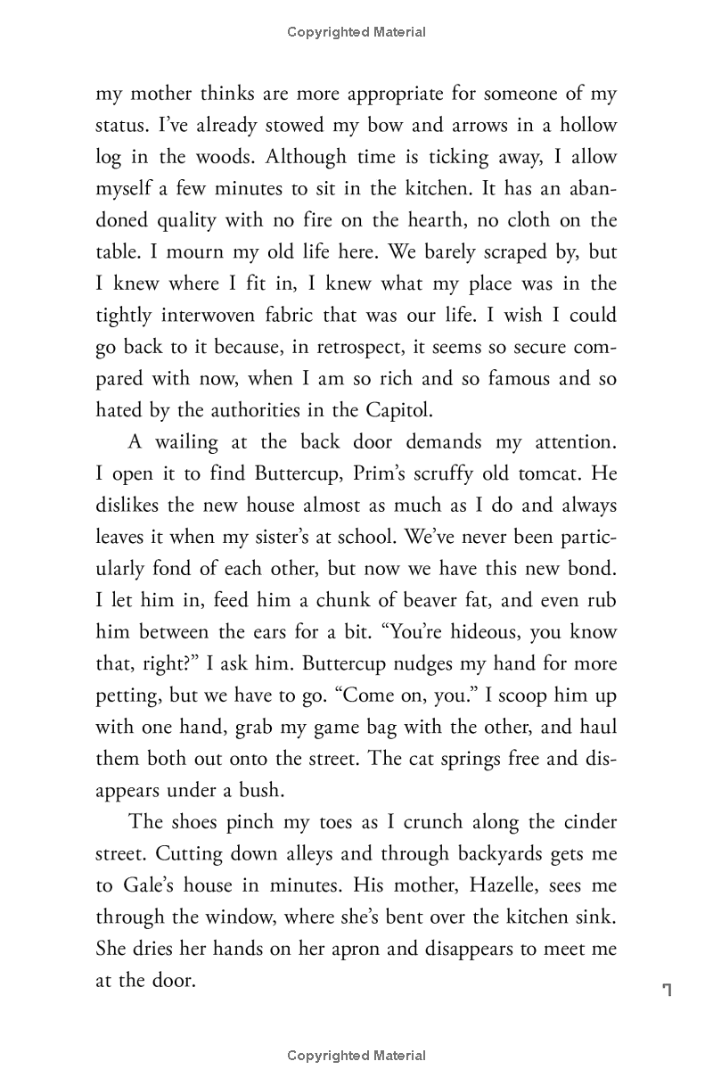 the hunger games - catching fire