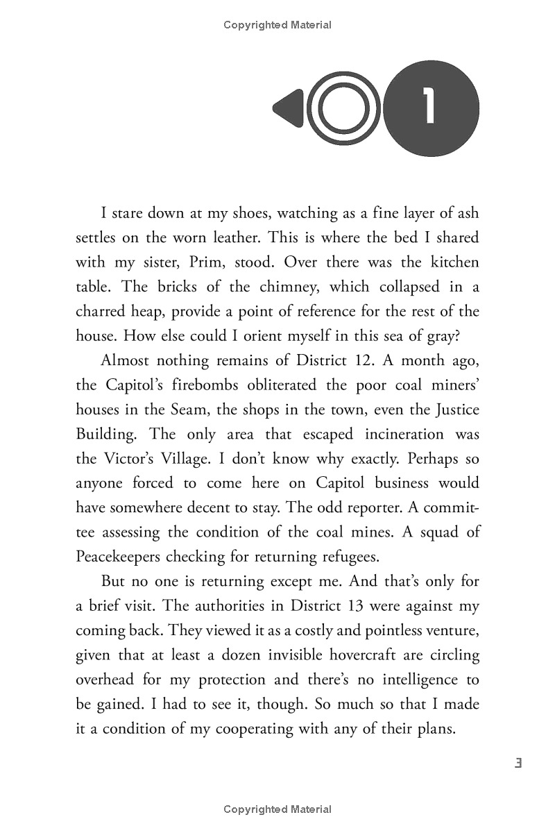 the hunger games - mockingjay