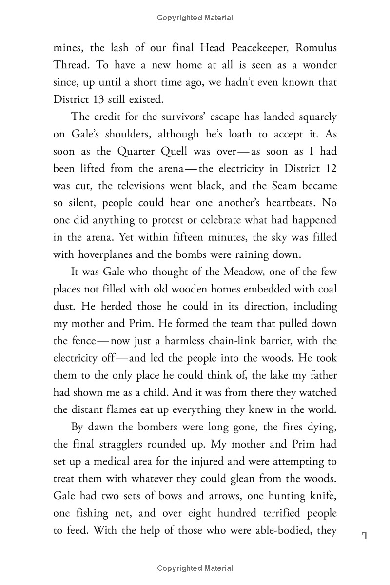 the hunger games - mockingjay