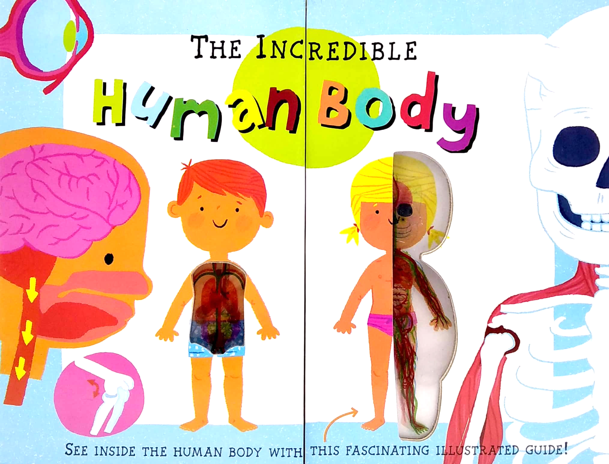 the incredible human body - my first human body book - new version