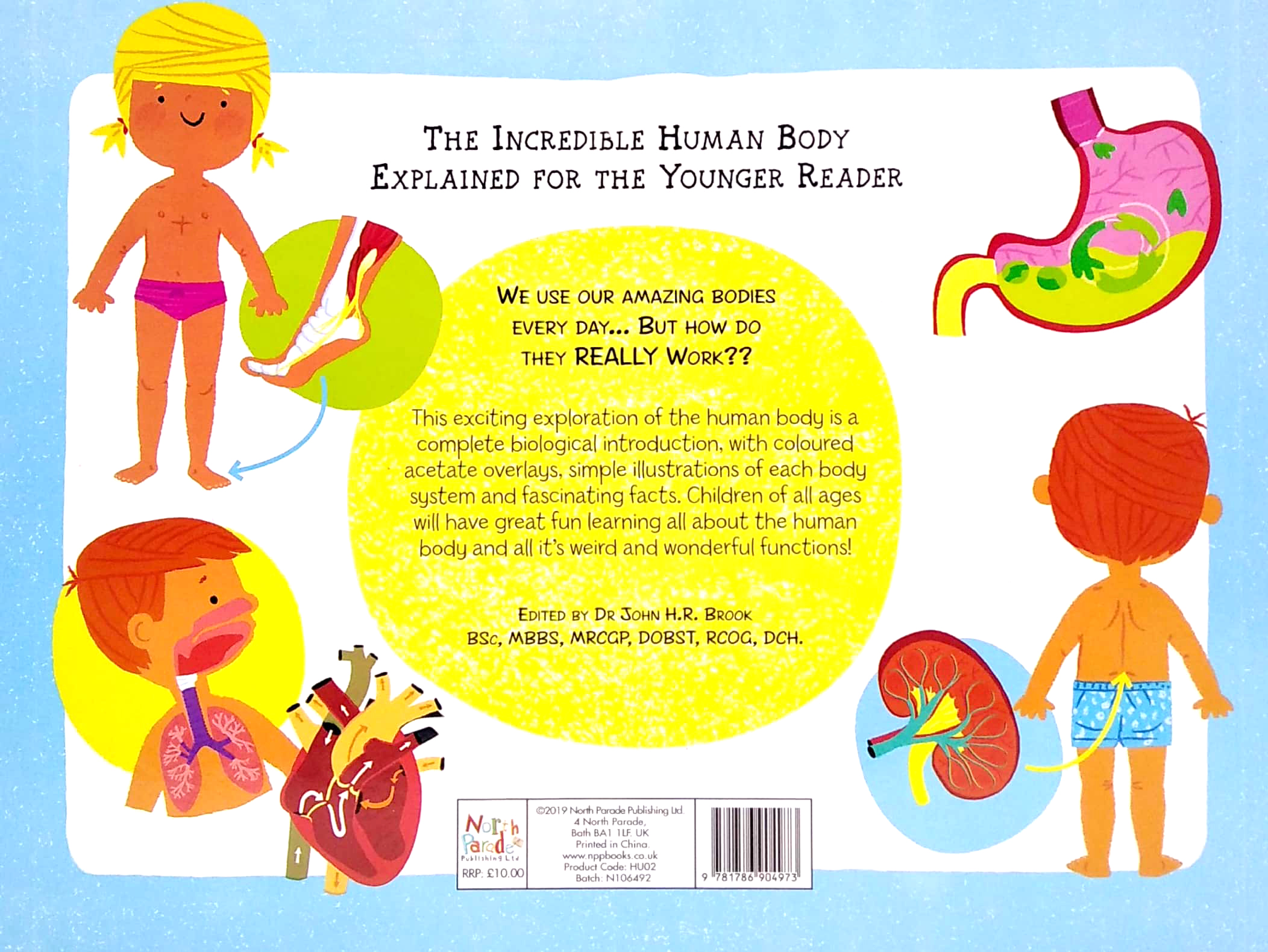 the incredible human body - my first human body book - new version