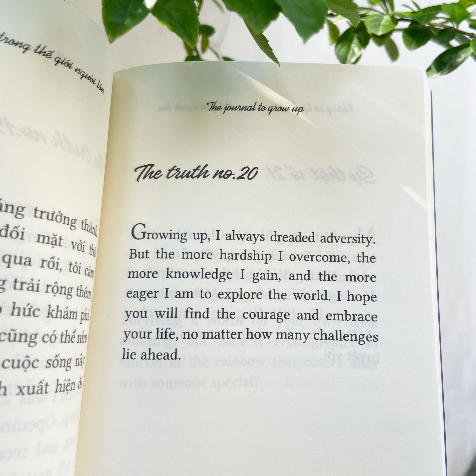 the journal to grow up - không có từ dễ dàng trong thế giới người lớn