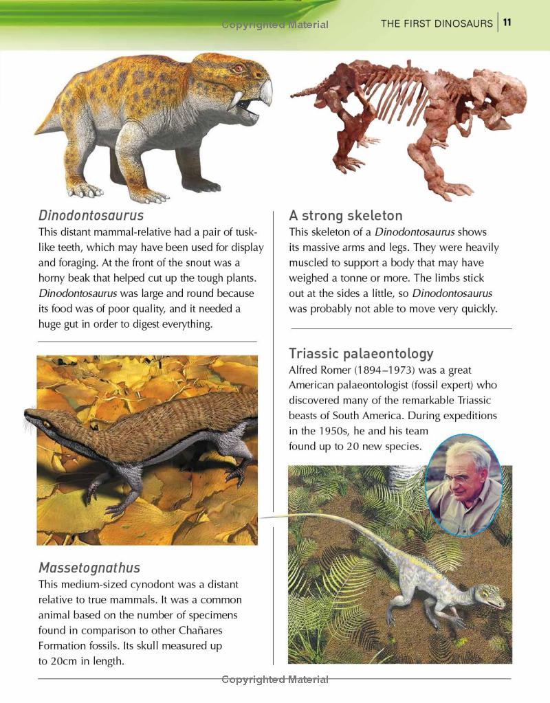 the kingfisher dinosaur encyclopedia