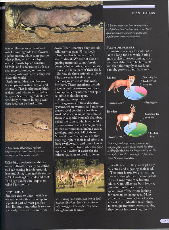 the kingfisher nature encyclopedia