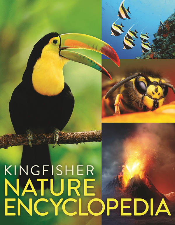 the kingfisher nature encyclopedia