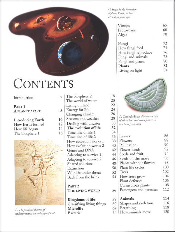 the kingfisher nature encyclopedia