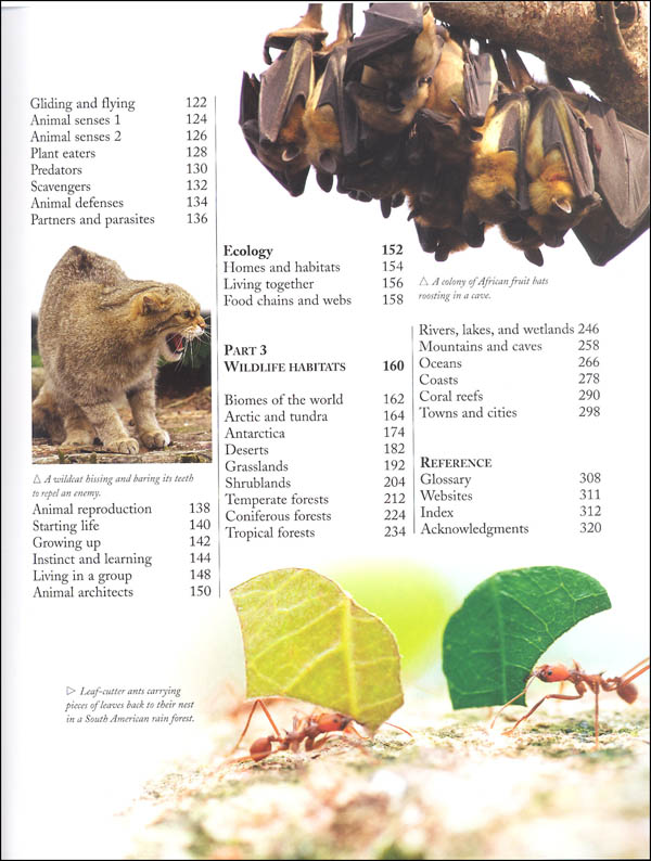 the kingfisher nature encyclopedia