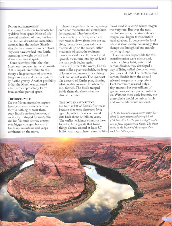 the kingfisher nature encyclopedia