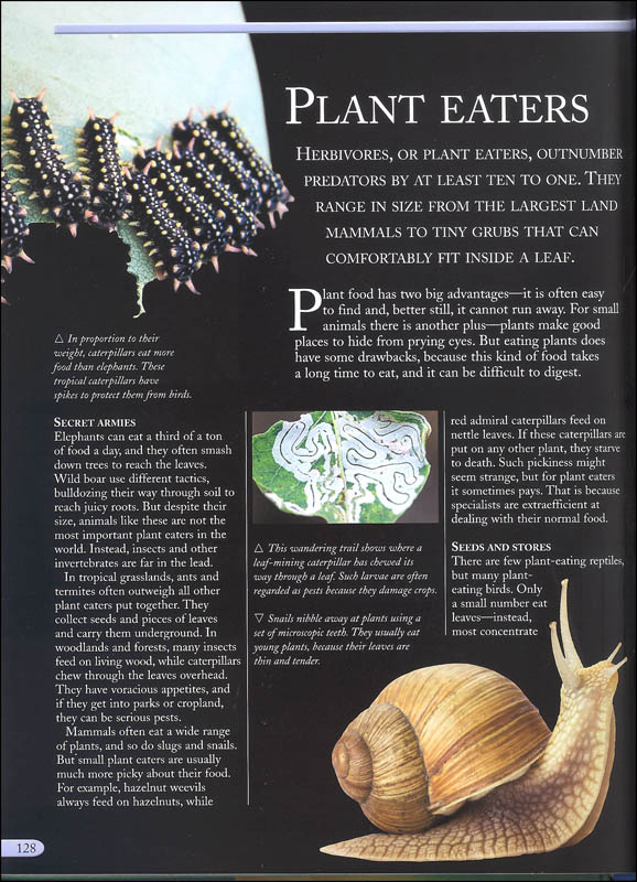 the kingfisher nature encyclopedia