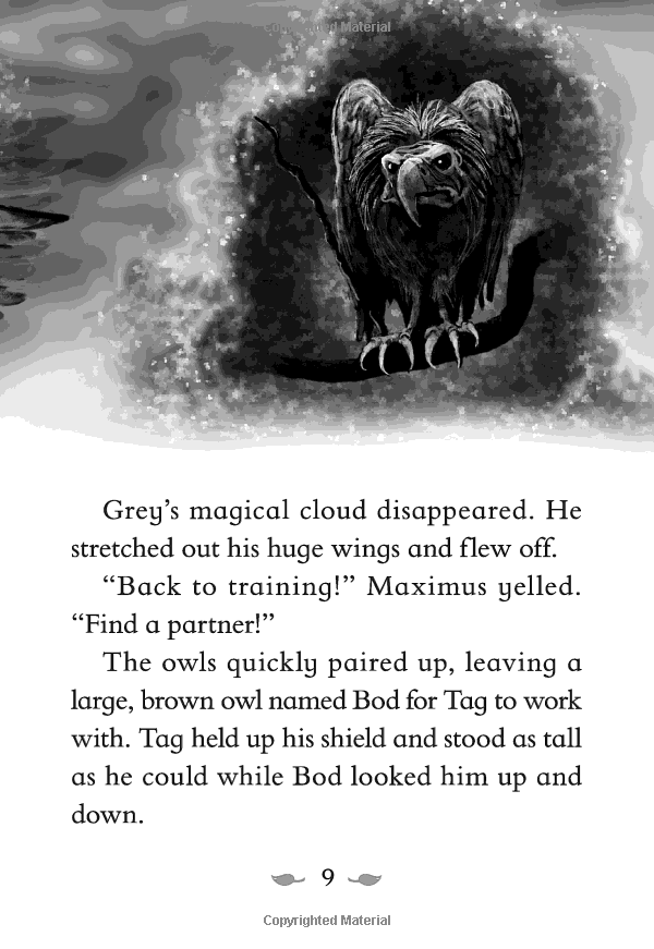 the last firehawk #1: the ember stone