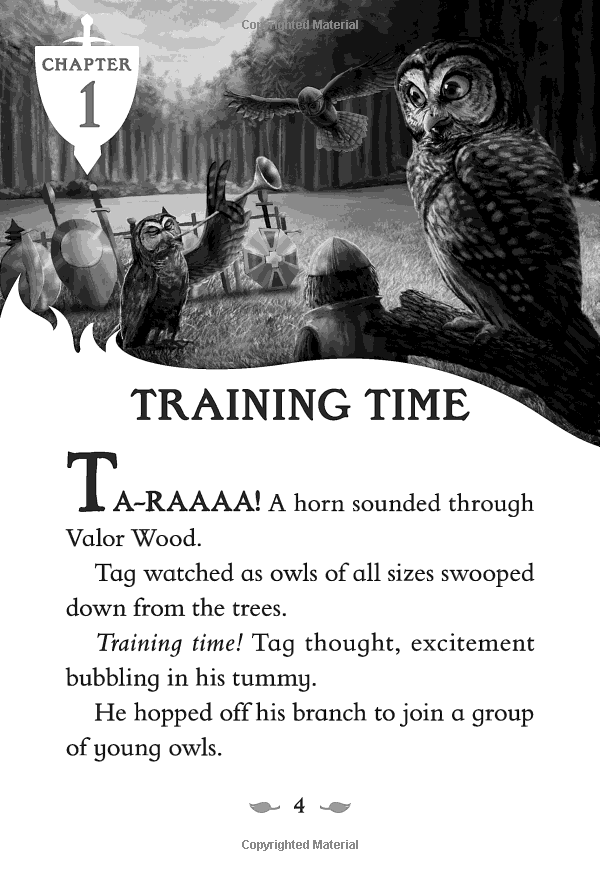 the last firehawk #1: the ember stone