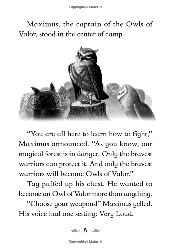 the last firehawk #1: the ember stone