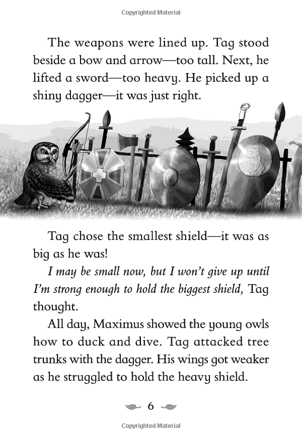 the last firehawk #1: the ember stone