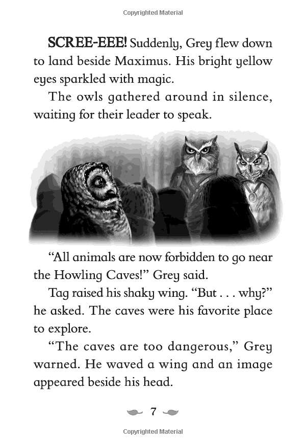 the last firehawk #1: the ember stone