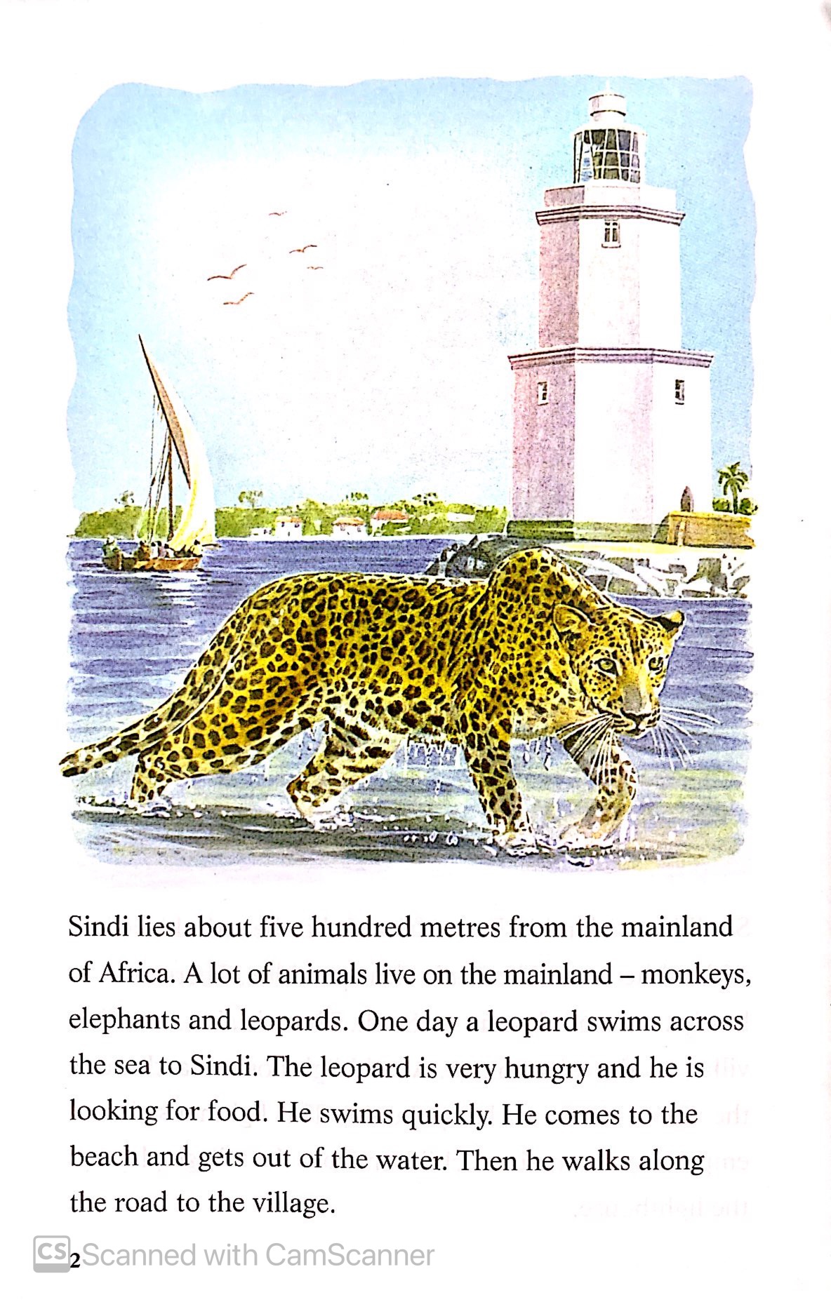 the leopard and the lighthouse: easystarts