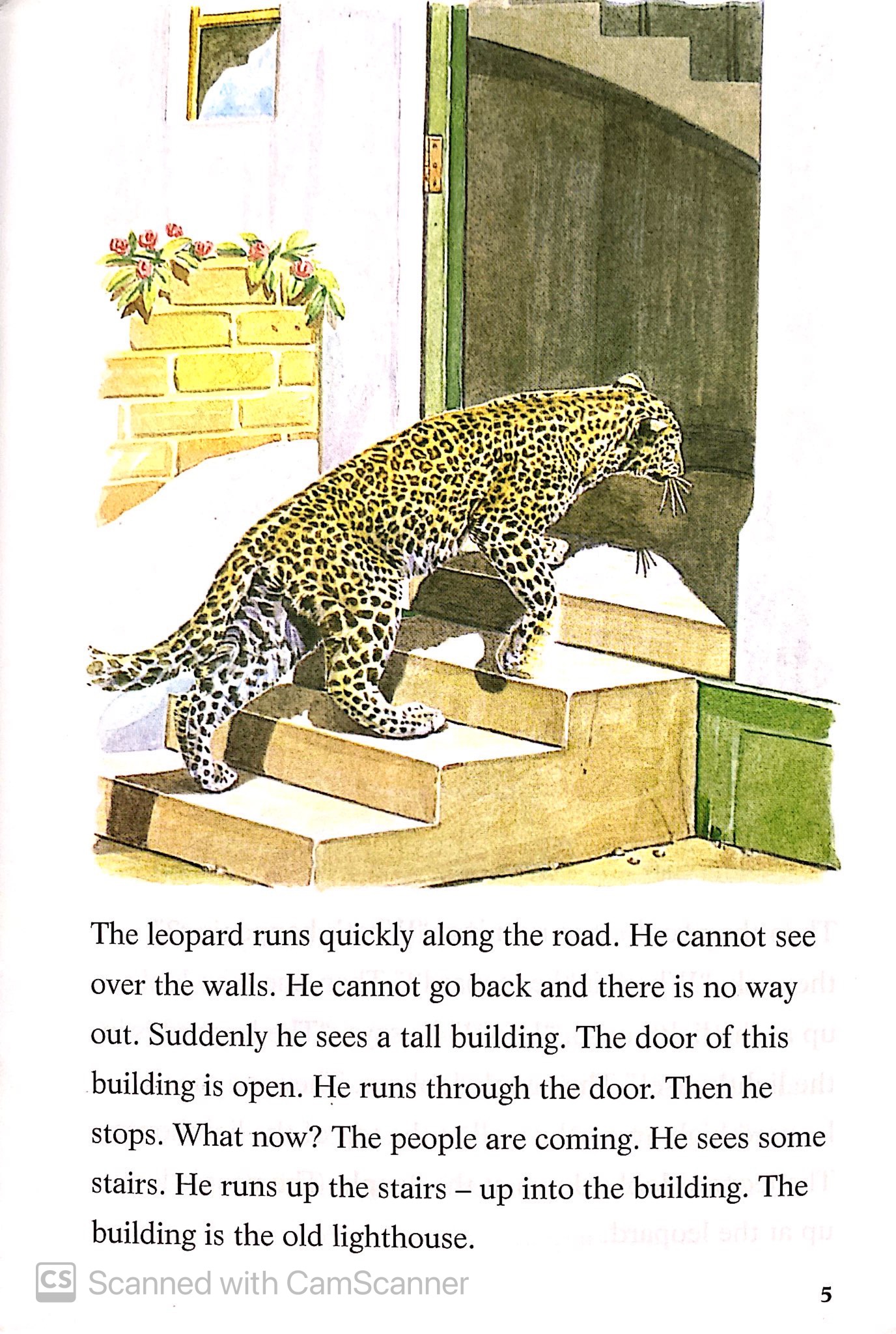 the leopard and the lighthouse: easystarts