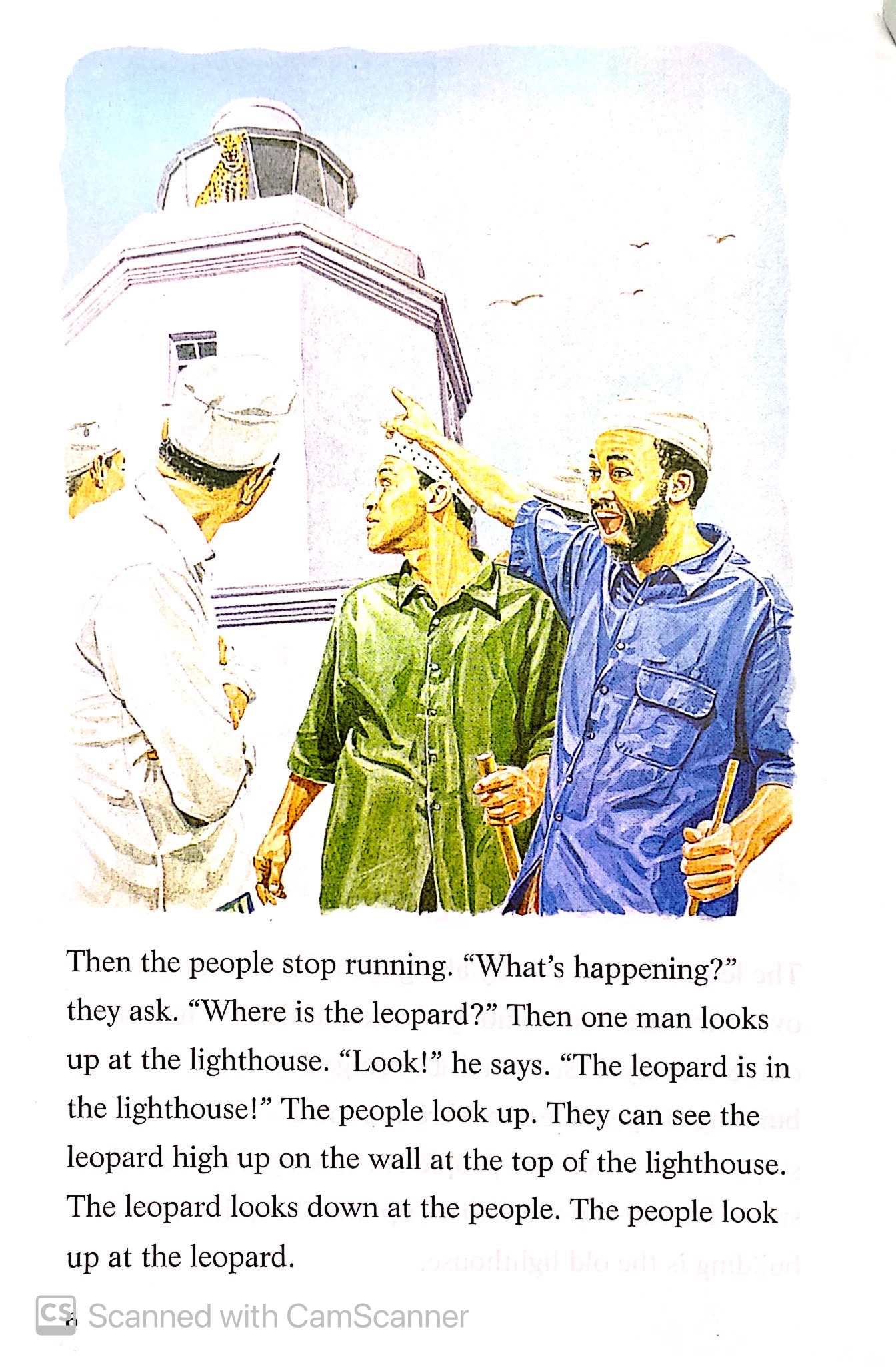 the leopard and the lighthouse: easystarts