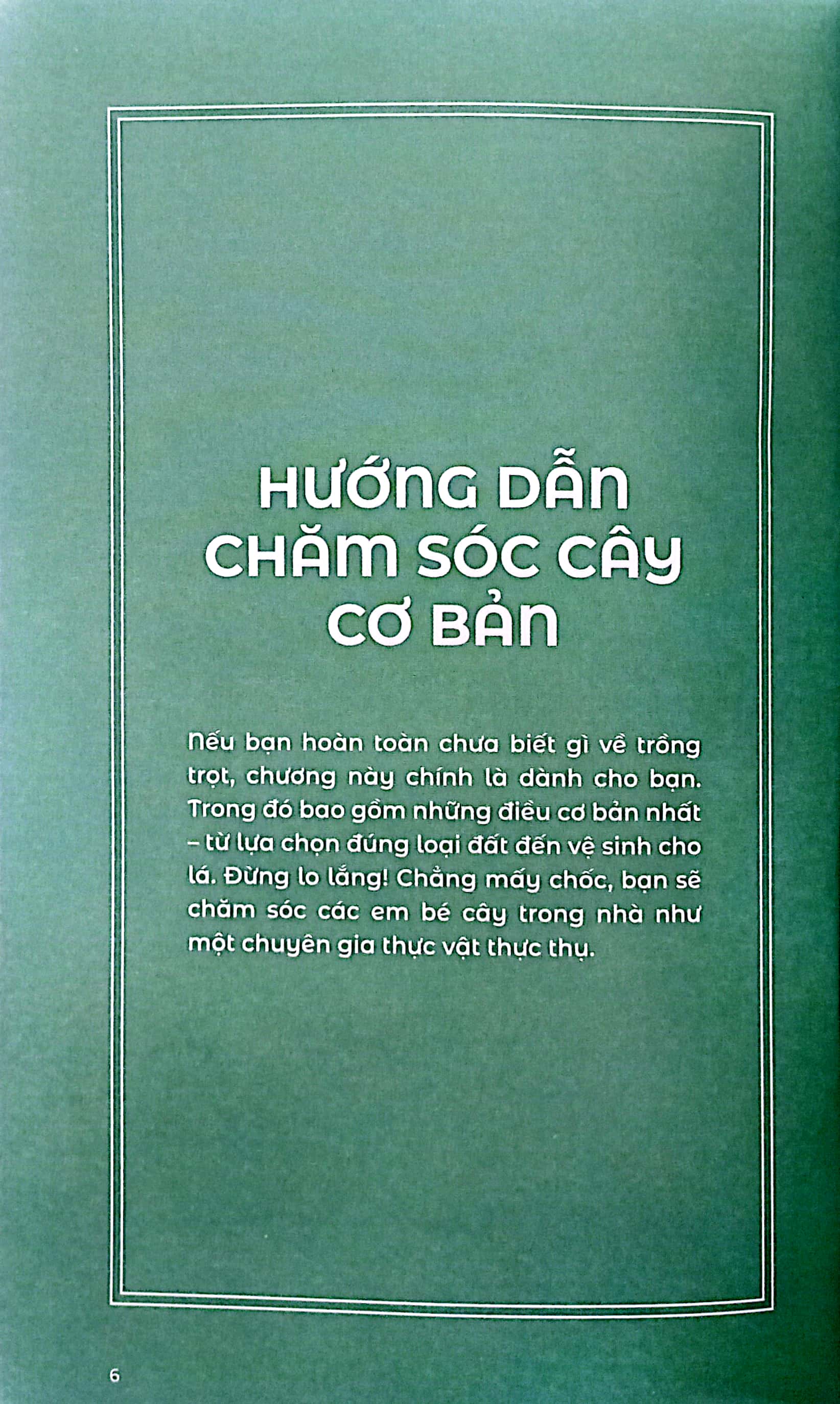 the little book for plant parents - bí mật nhỏ cho người yêu cây