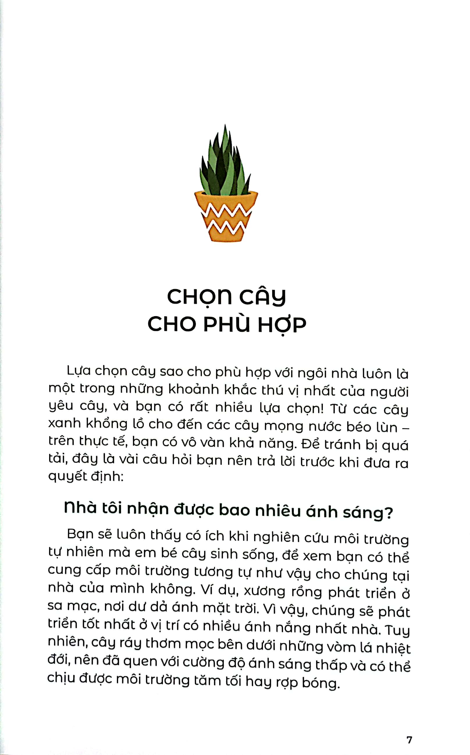 the little book for plant parents - bí mật nhỏ cho người yêu cây
