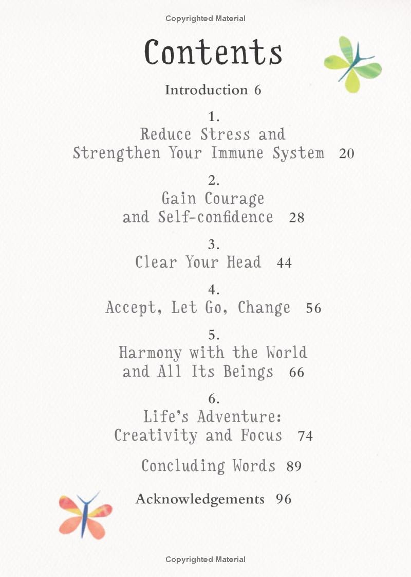 The Little Book Of Meditation