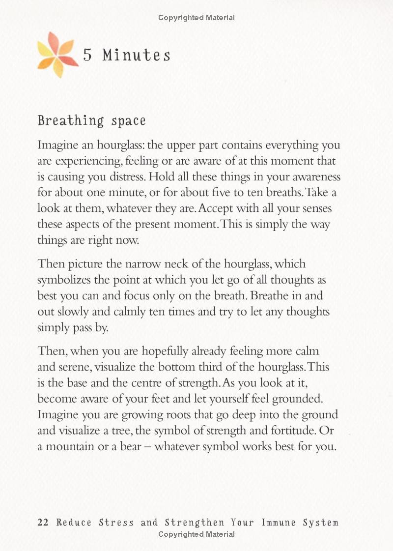 The Little Book Of Meditation